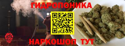 скорость Заволжье