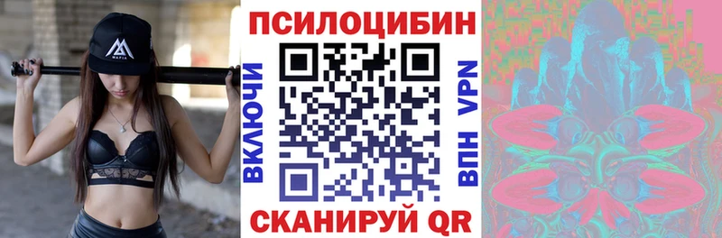 Псилоцибиновые грибы Psilocybe купить закладку Сосновый Бор