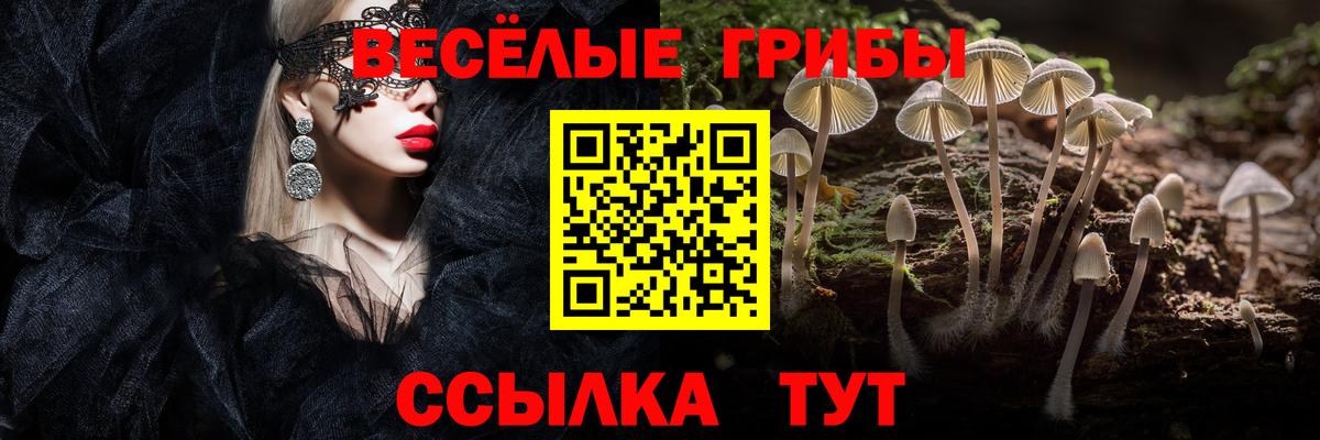 хочу   Галлюциногенные грибы MAGIC MUSHROOMS  Сосновый Бор  Вход с VPN  Псилоцибиновые грибы мухоморы 